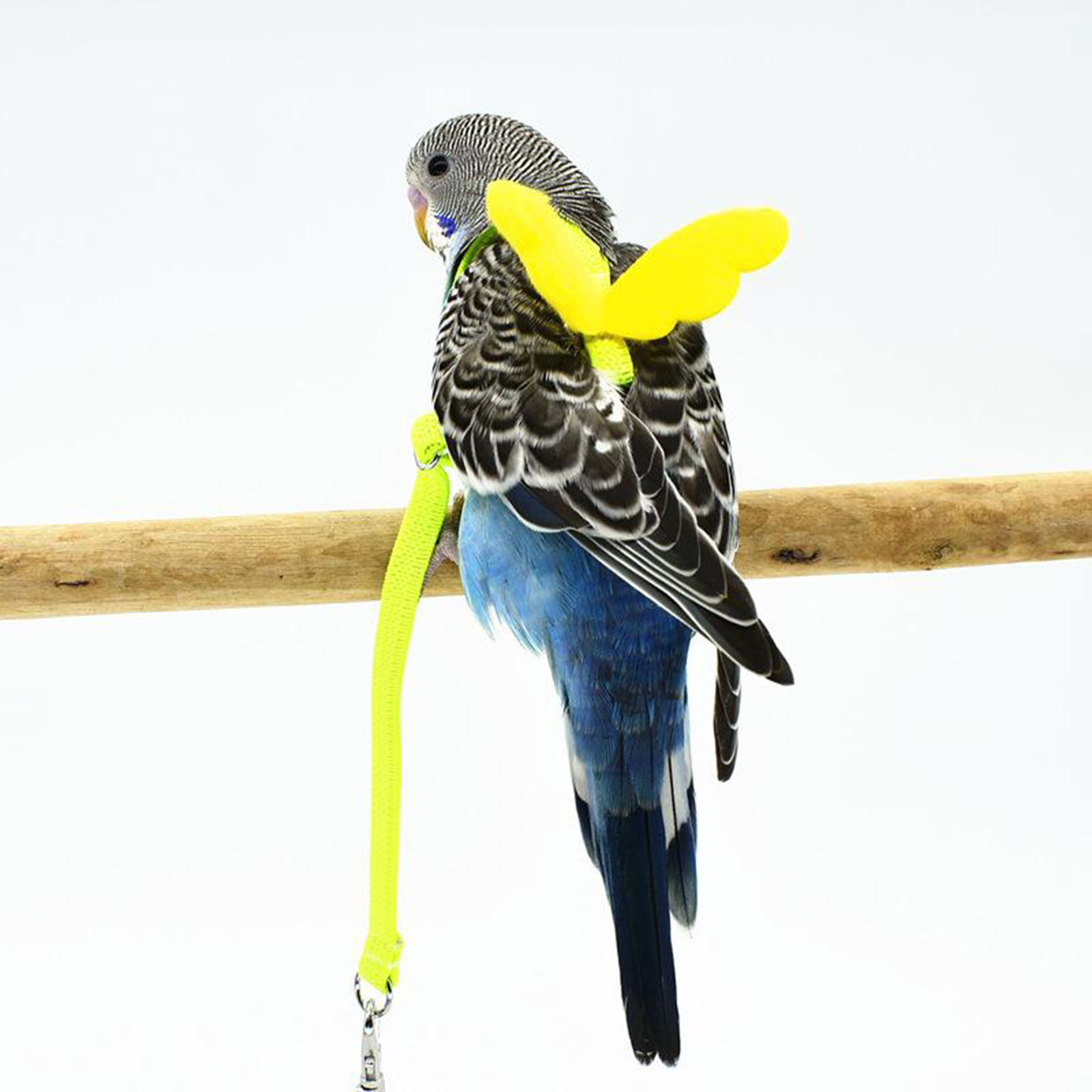 Pet Bird Harness and Leash Rope Training Durable Wing for Parrot Bird Pet Supplies with Cute Wing