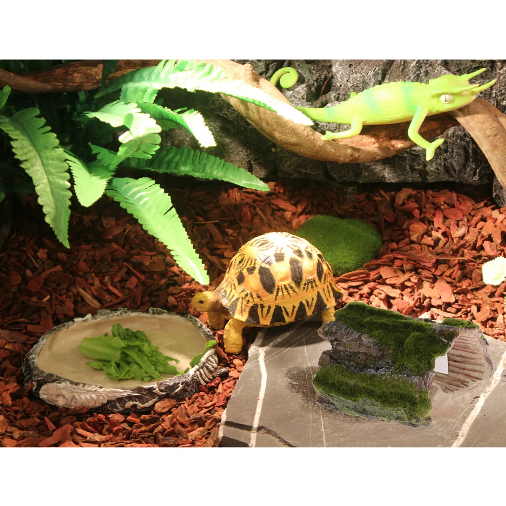 Bark Bends Terrarium Reptile Habitat Decoration Turtle Basking Platform