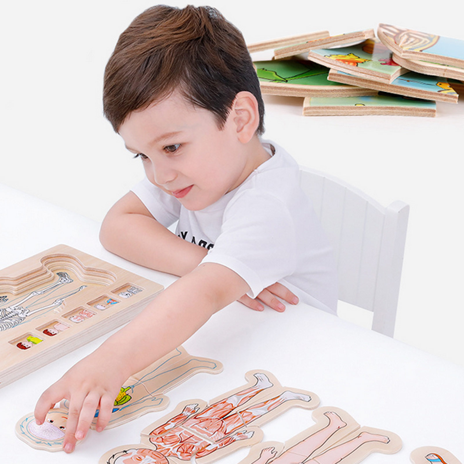 Quebra-cabeças de Corpo Humano de Madeira Partes do Corpo Músculos do Gênero Corpo da Memória Educacional para Crianças Presente de Natal e Aniversário Brinquedo 2 Brinquedos e hobbies