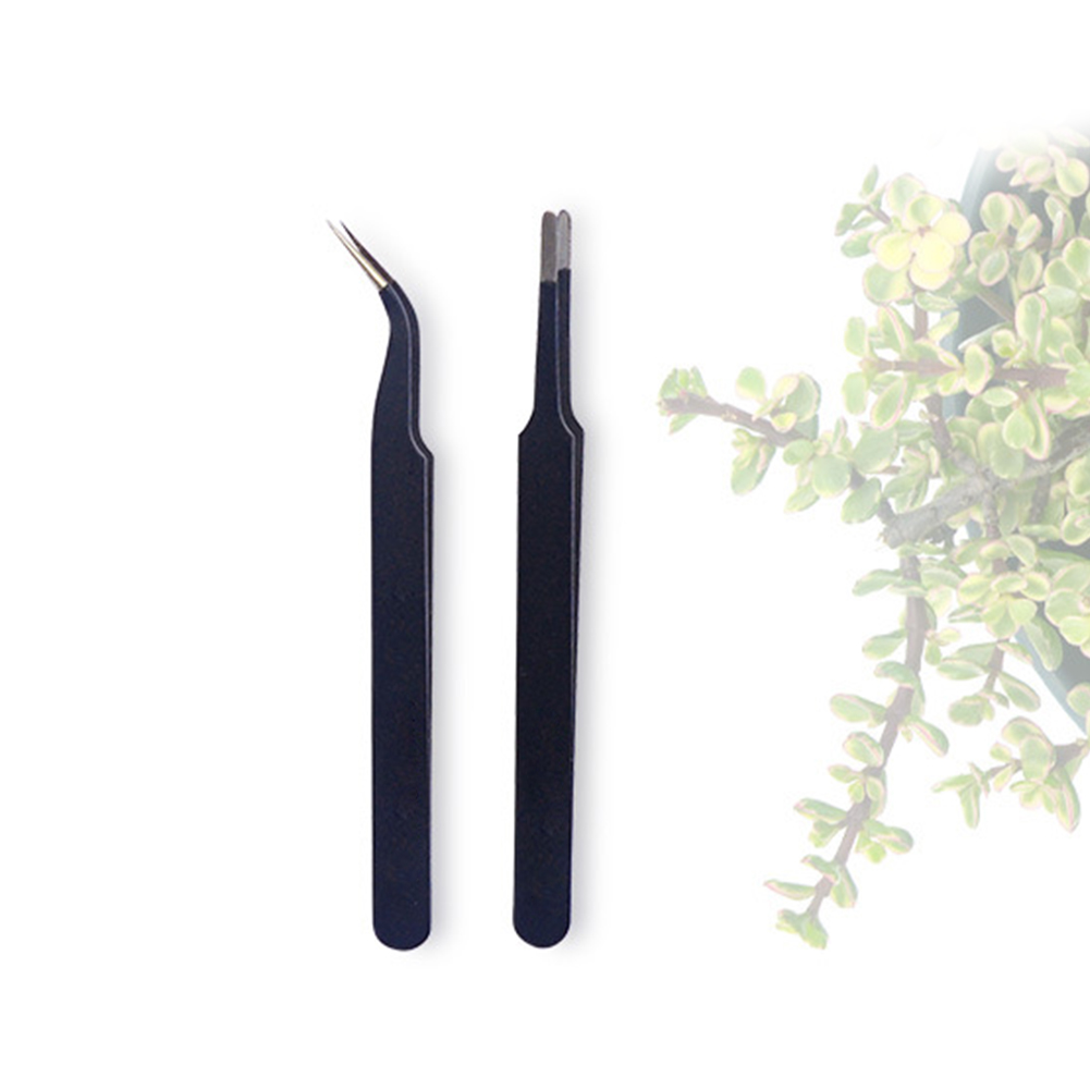potting casa poda mini jardim conjunto de plantio balde pá diy