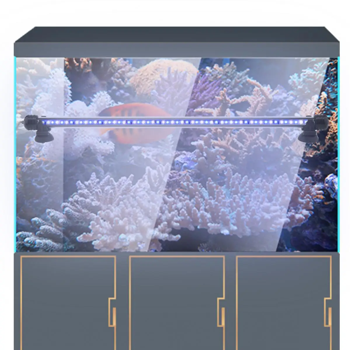 de peixes do aquário com temporizador automático