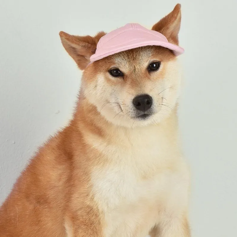 Un perro Shiba Inu con un sombrero rosa. El perro tiene una expresión facial distintiva que a menudo se asocia con la raza, caracterizada por una ceja ligeramente levantada y una mirada algo seria o contemplativa. El fondo es liso y de color claro, lo que ayuda a resaltar el perro y el sombrero.