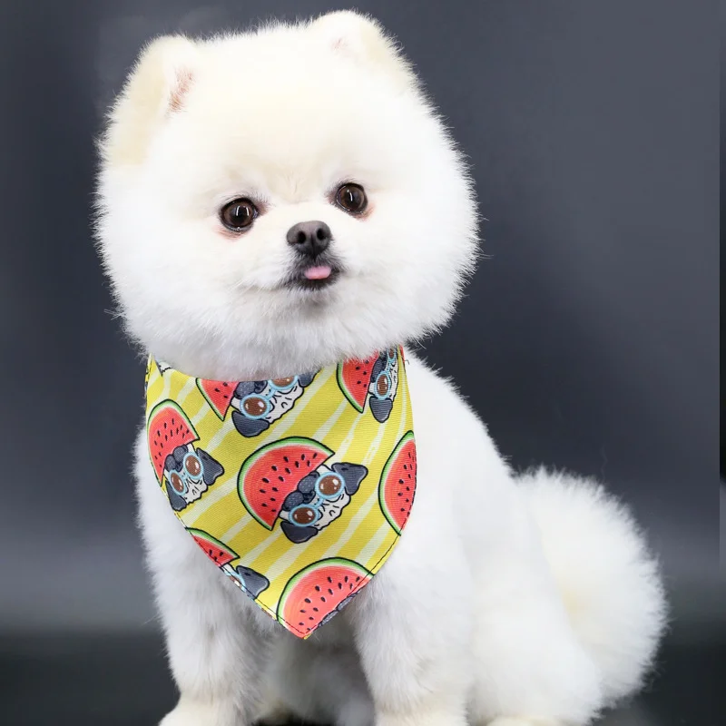 Triangle Bib Collar For Dog - Cute Bandana