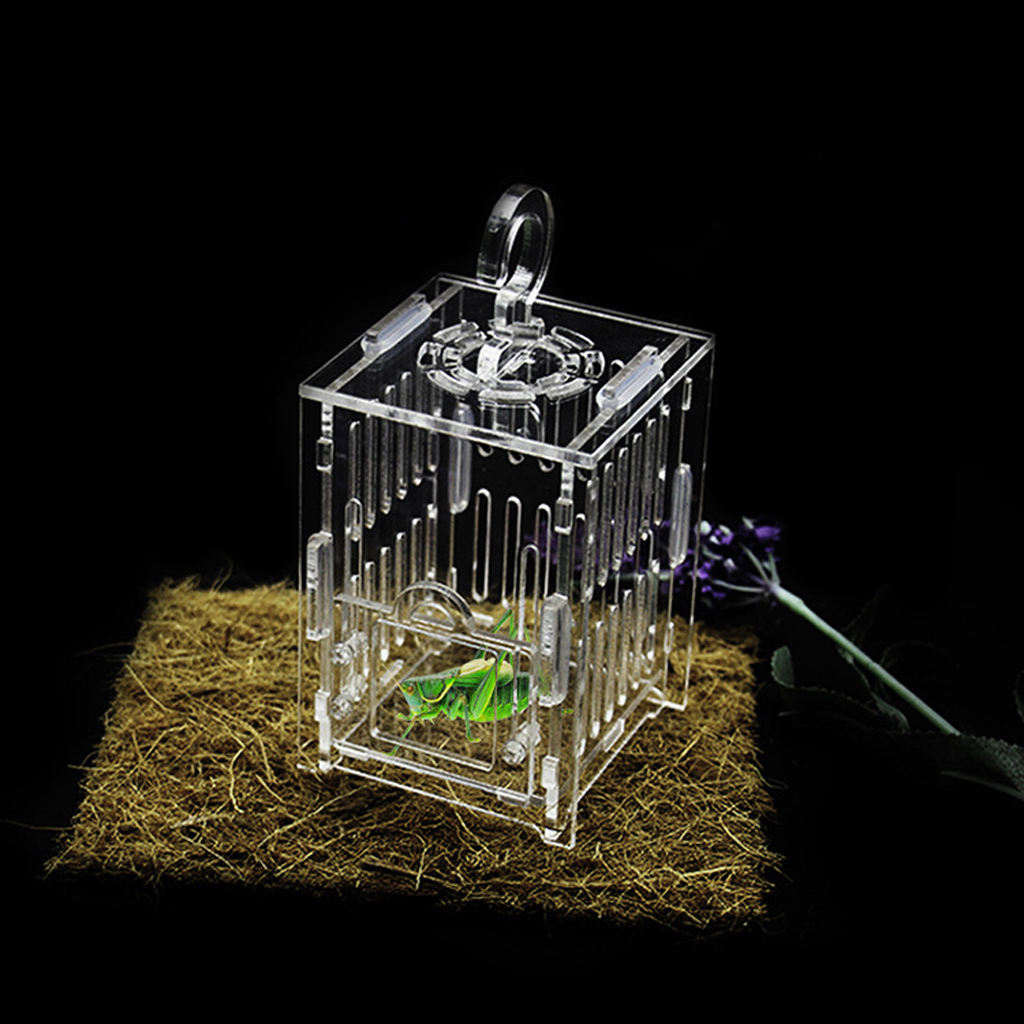 Durable Acrylic Small Insect Cage Grasshopper Feeding Cricket Cage Indoor Toy