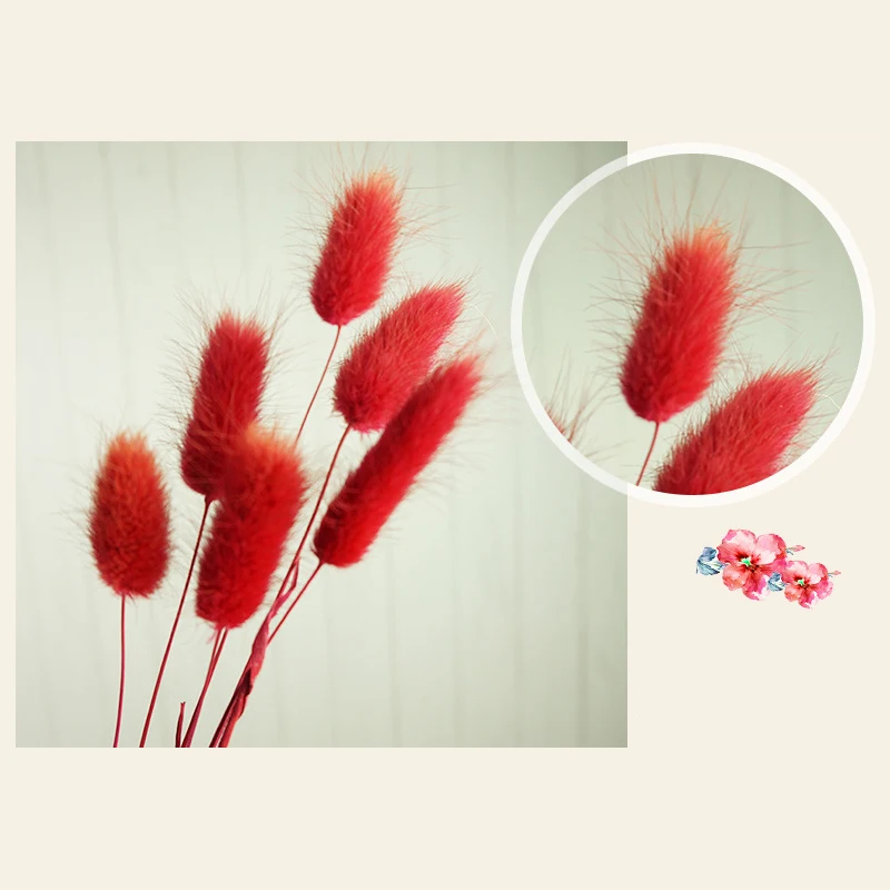 50 Pcs Dried Flower Grass Decoration Photography Props for Home Store Wedding Home Accessories