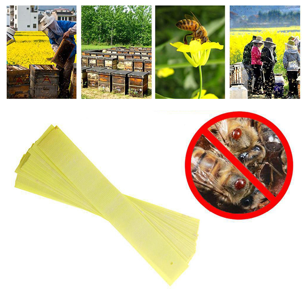 20 Strips Acaricide Beekeeping Fluvalinate Bee Mite Varroa Killer Strips, Yellow