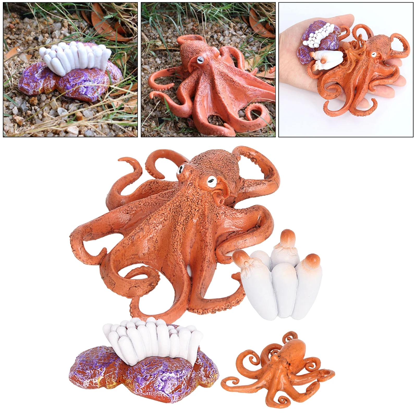 4 Stages Life Cycle of a Octopus, Insects Plastic Octopus Toy Figure - Authentic Hand Painted Model