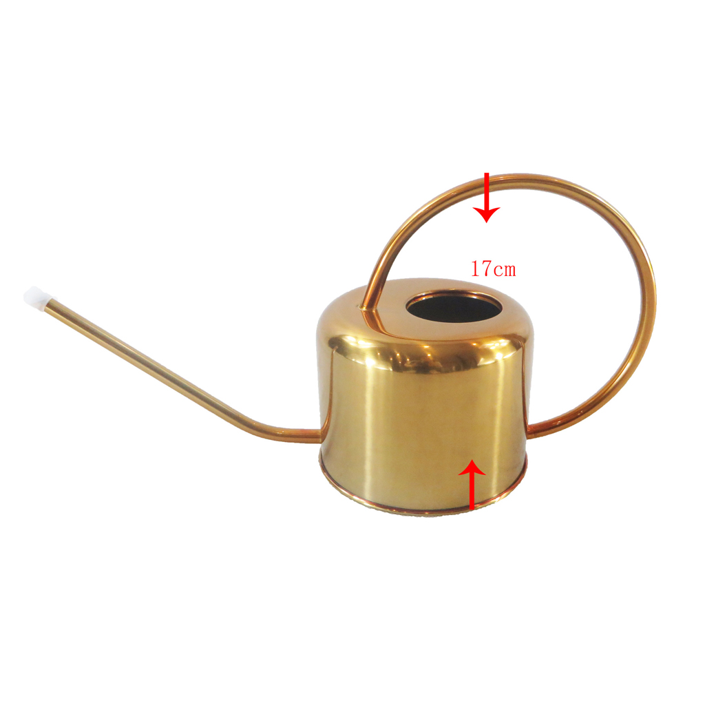 900ml Retro Style Watering Can for Plants Flowers Indoor Outdoor Home Garden Yard Watering Tools, Stainless Steel