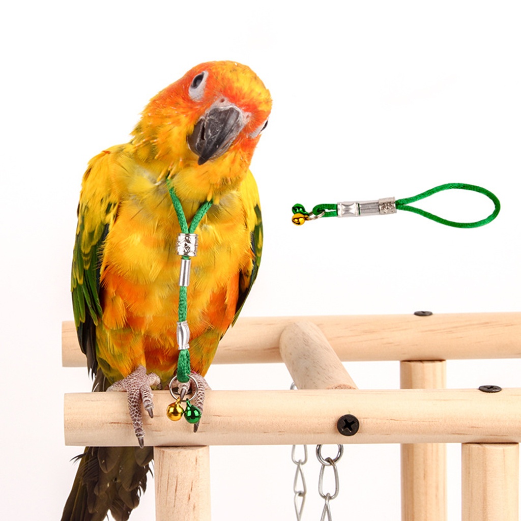 Adjustable Bird Harness Lead Leash with Bells Parrot Wing Traction Rope