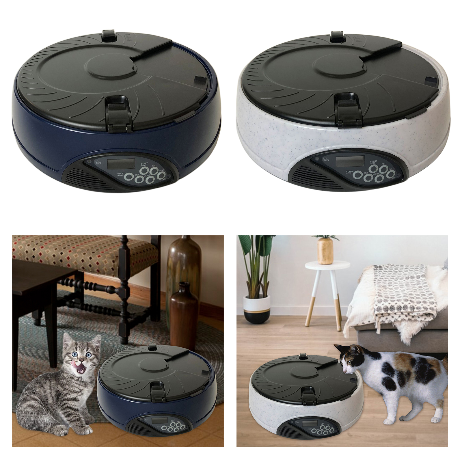Automatic Pet Feeder Smart ABS 6 Meal Portion Control Kitten Puppy Food Dispenser Intellect Programmable Dogs Cats Bowl Rabbits