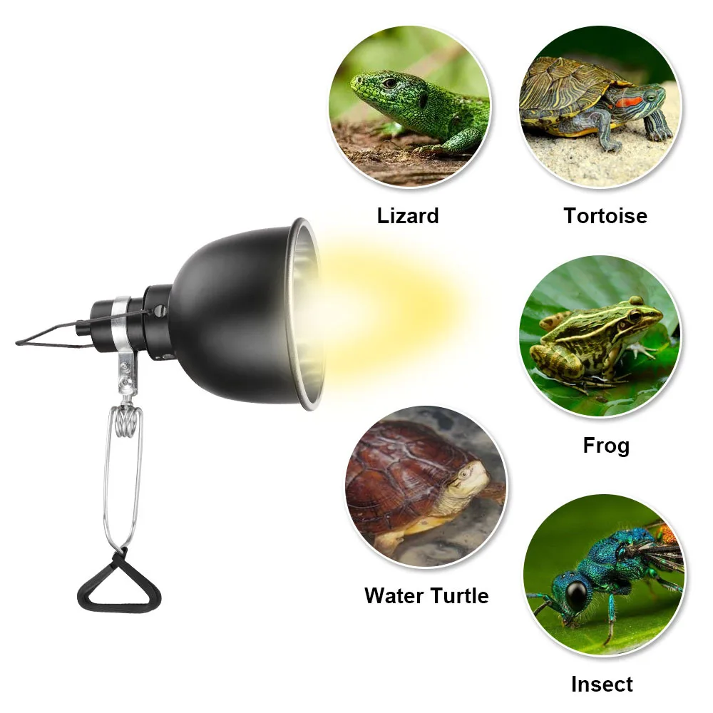 tartaruga com suporte da lâmpada E27, Serpente