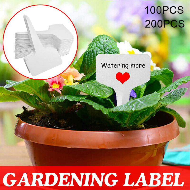 100 200 pces pvc t-tipo plantas pote