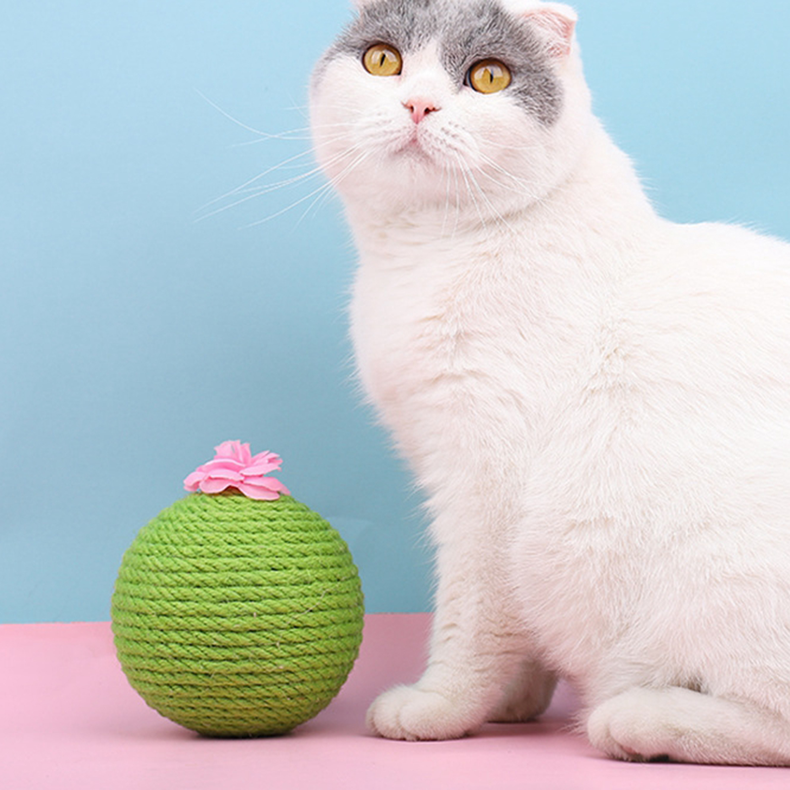 Cat Cactus Ball Toy, Pet Cats Scratching Sisal Rope Wrapped Ball with Catnip Inside Ball Track Interactive for Kittens Playing