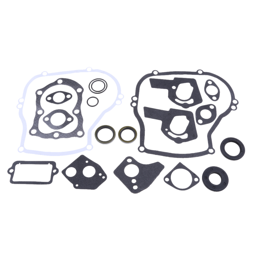 Engine Gasket Set for    495603 Replaces # 397145, 297615