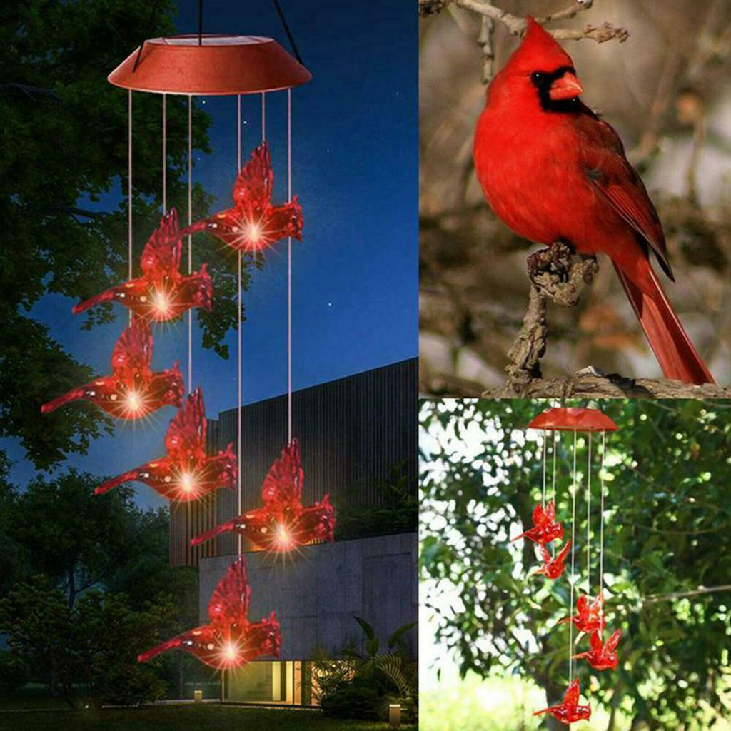 cardinal bird light