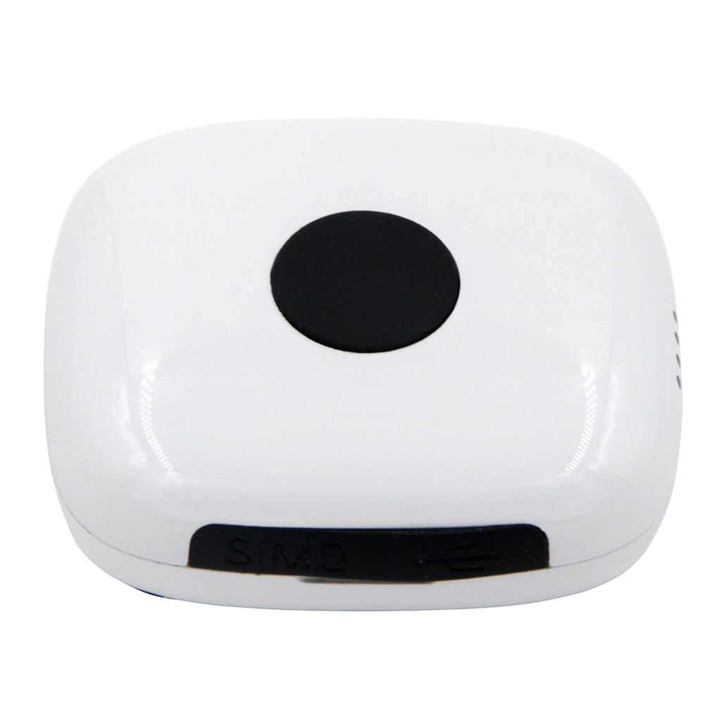 Real Time  Anti-Lost Locator Portable 4G GPS Tracker For Pets Dog/Cat