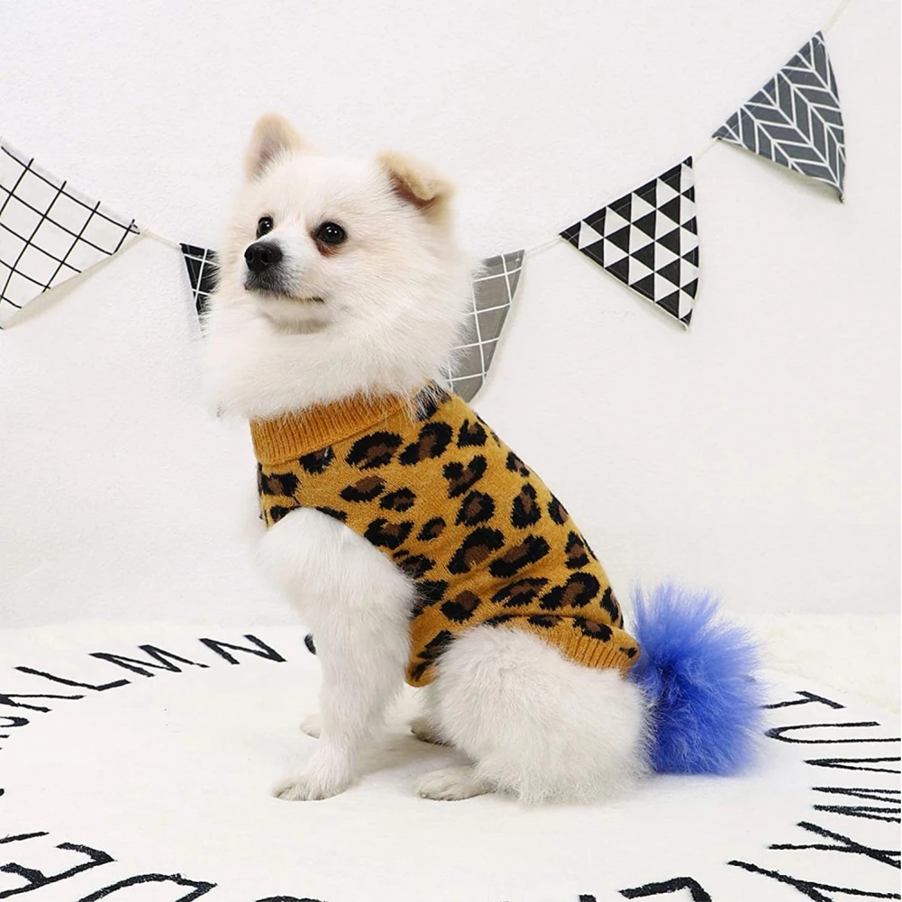 Un pequeño perro blanco que lleva un suéter con estampado de leopardo. El perro tiene un pelaje esponjoso y está sentado sobre una superficie con un fondo estampado que incluye formas geométricas. La cola del perro está enrollada y parece estar mirando directamente a la cámara.