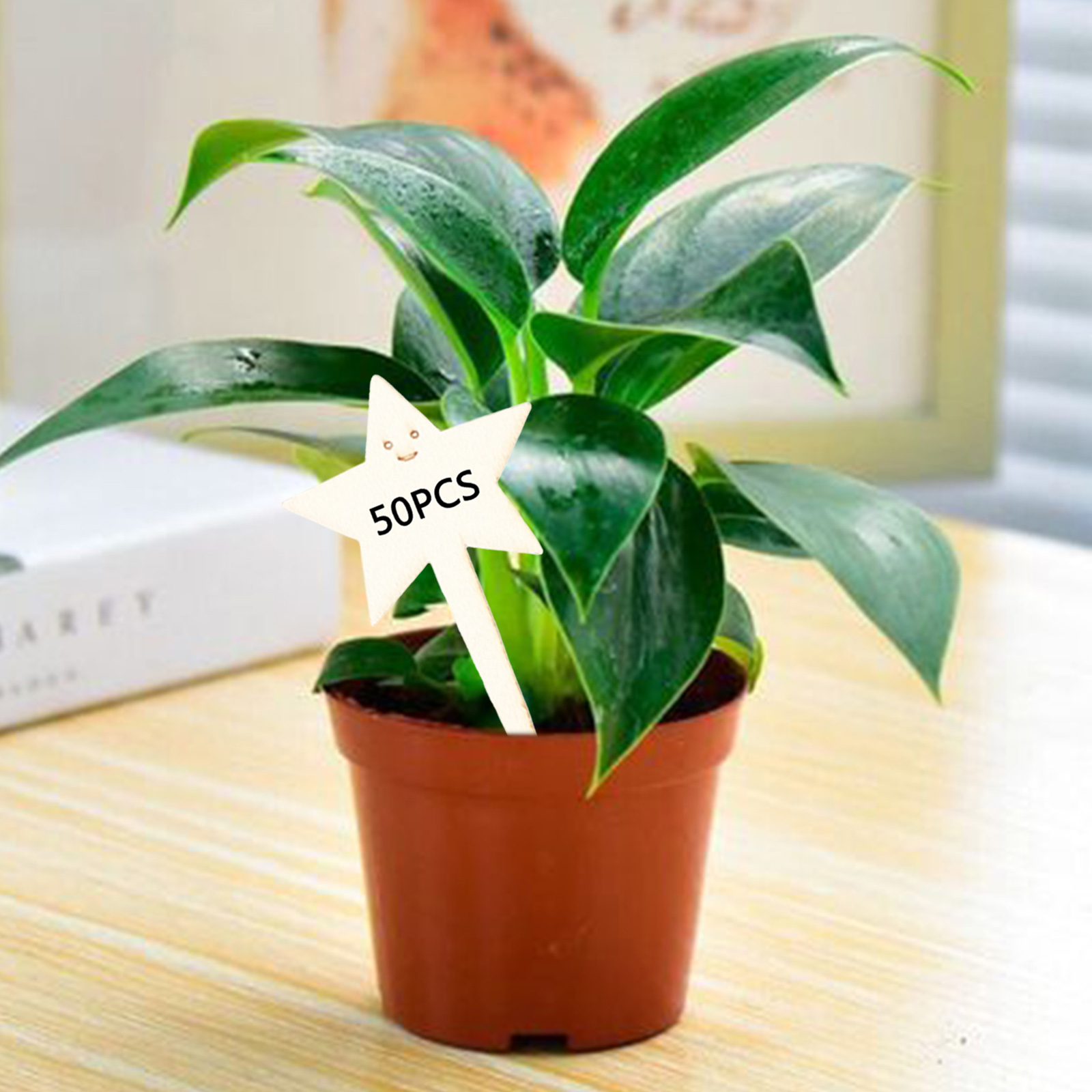 50Pcs Plant Labels Flowers Succulent T-Shaped Wooden Markers Name Tags Sign