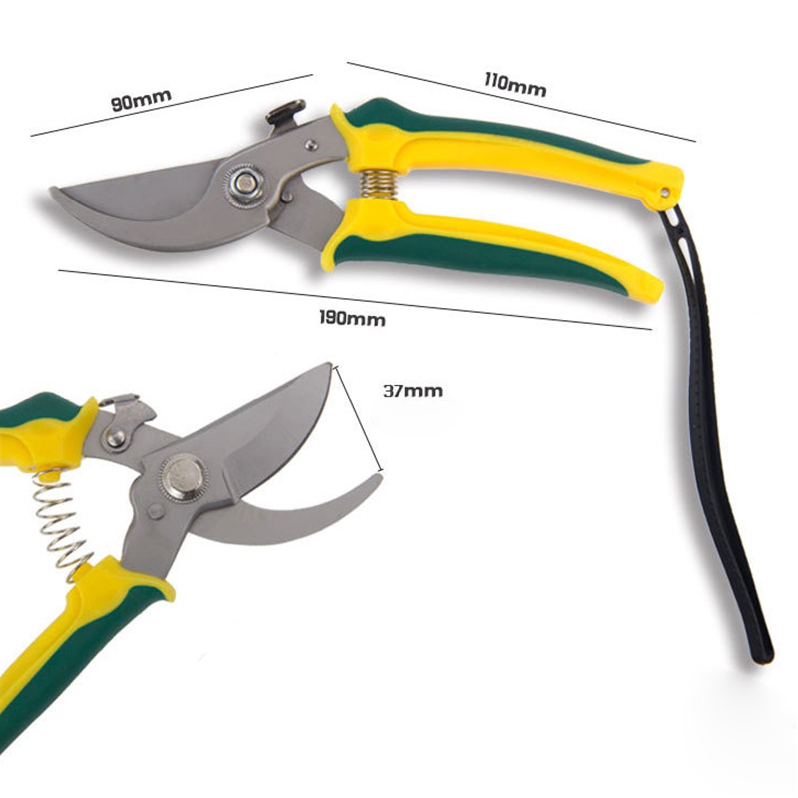 Title 9, Plants Shears Specialists Resistant Foot Rots S...