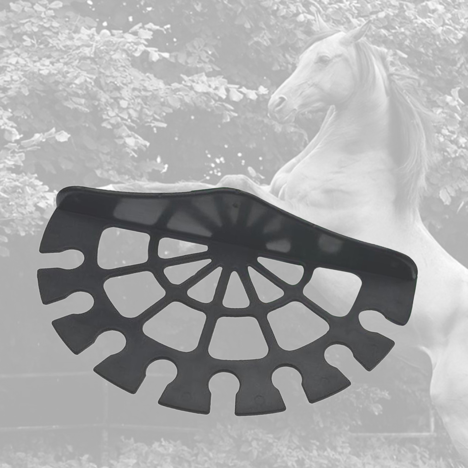 Horse Stables Whip Rack Bracket Hanger Holder Tack Room Accessory Riding Whips Dressage Whips Storage Bracket