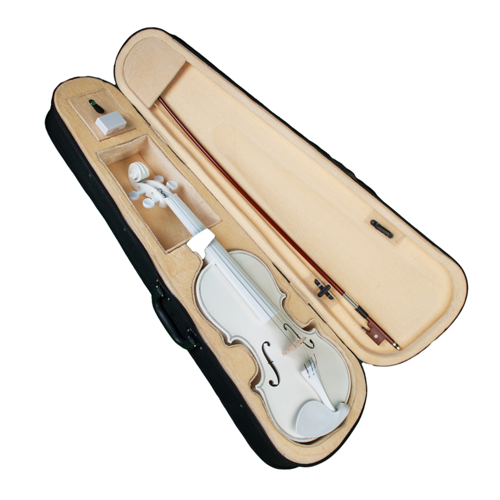 Full 4/4 Size Maple Spruce Violin with Case Bow Rosin for Students Learning Band Show