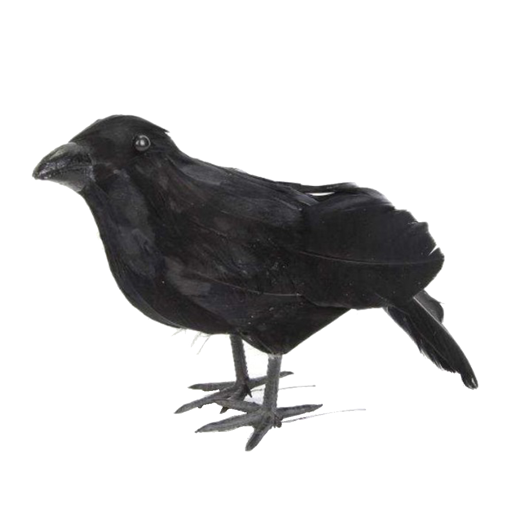 Realistic Black Foam Crow Photo Props Garden Scarecrow Outdoor Pest Control