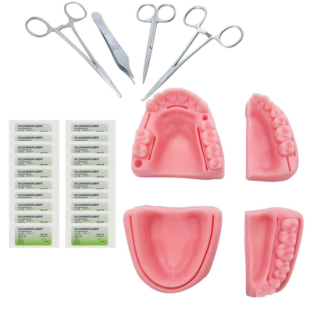 Best of Silicone Artificial Human Skin Oral Teeth Gum Suture Training Kit Common Types Of Dental Wounds Dentist Practice And Training Reviews & Tips