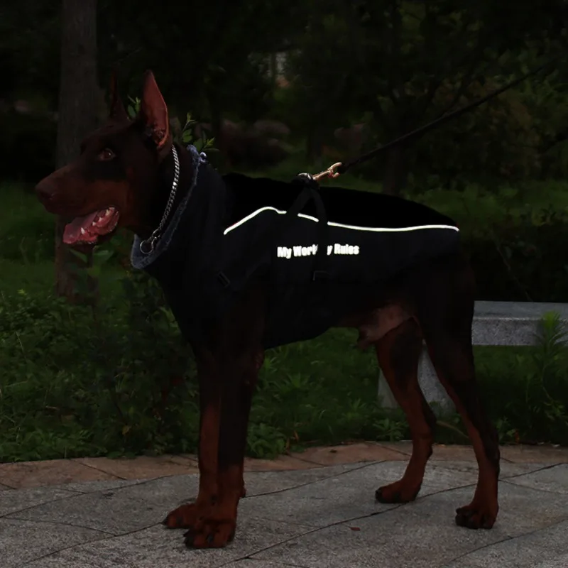 Un perro que lleva una chaqueta negra con rayas reflectantes. La chaqueta tiene impreso el texto Mis reglas de trabajo. El perro parece ser una raza grande, posiblemente un Doberman Pinscher, dada la forma y coloración de su cuerpo.