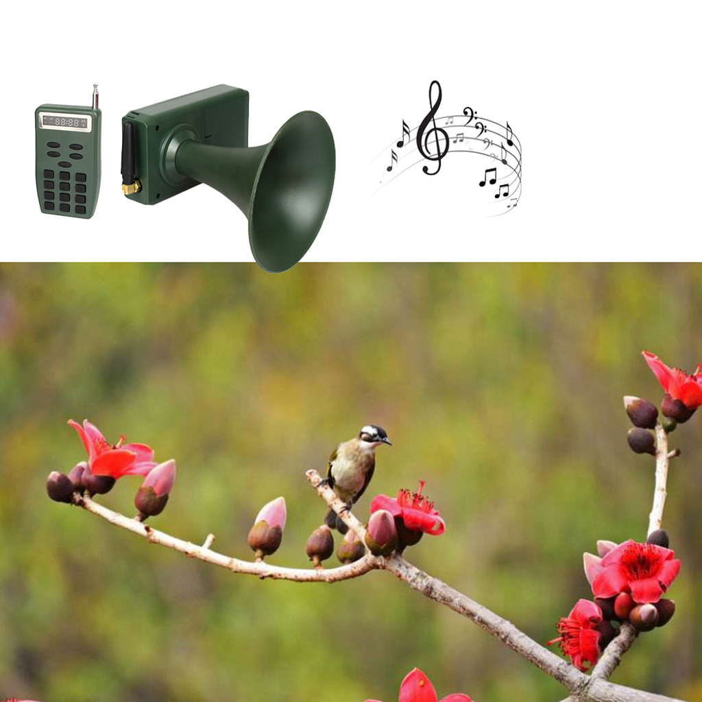 Hunting Decoy Bird Caller Bird Sound Loudspeaker Amplifier Outdoor Device Bird Sound Loudspeaker Amplifier Machine