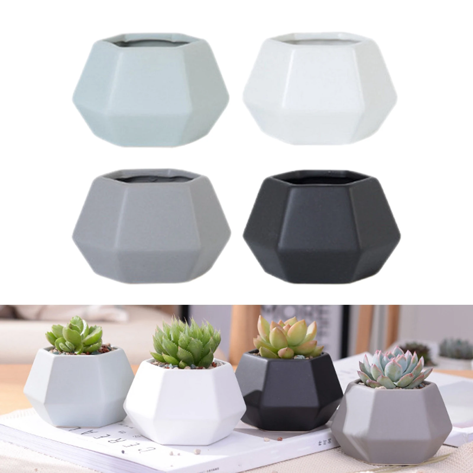 4 Pack Mini Succulent Simpe Design Planter Pots Cactus for Home Office Desk Shelf Window Decor (Plants