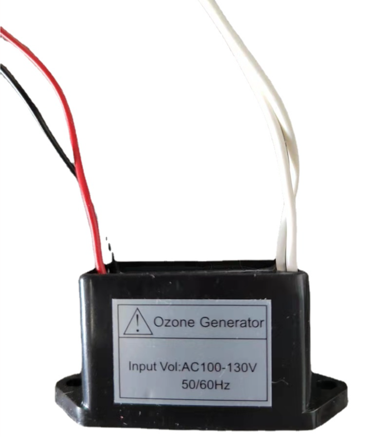 Title 6, Mini Ozon Generator Luftreiniger 200 mg AC110V ...