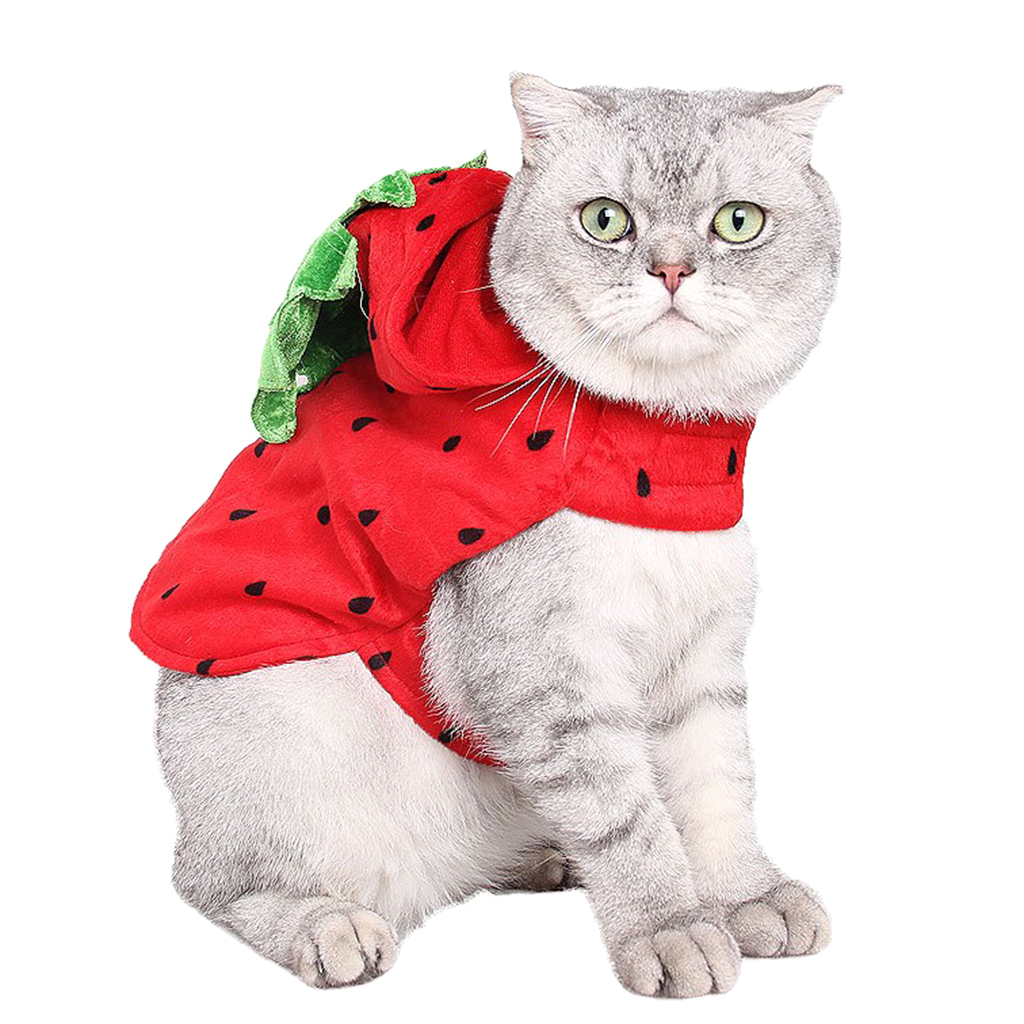 Cute Cat Costume Strawberry Hooded Clothes Halloween Daily Wear Pet Apparel