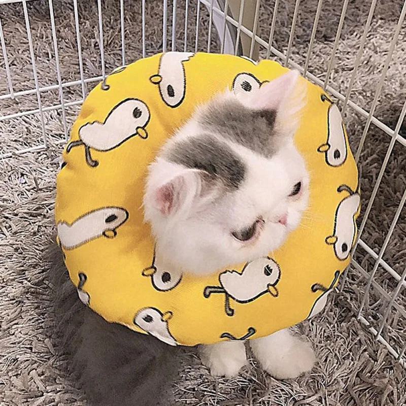 Un pequeño gatito que lleva un collar amarillo con un diseño divertido. El gatito parece estar dentro de una jaula para mascotas o de un recinto pequeño y parece estar mirando directamente a la cámara. El diseño del cuello parece un personaje de dibujos animados, posiblemente un pájaro, con una expresión feliz.