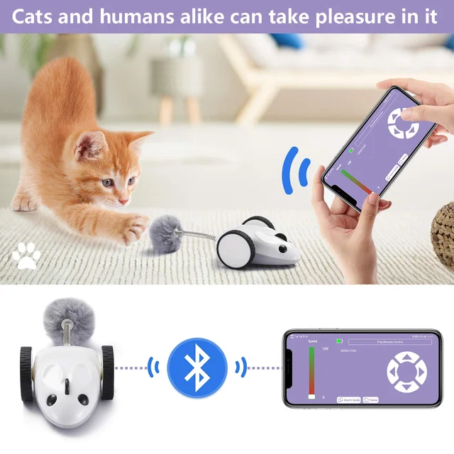 bola gato USB - bola 360 graus auto-rotativa - animal recarregável USB,  presente exercício entretenimento para gatos, gatinhos, brinquedos  elétricos para animais estimação Uwariloy