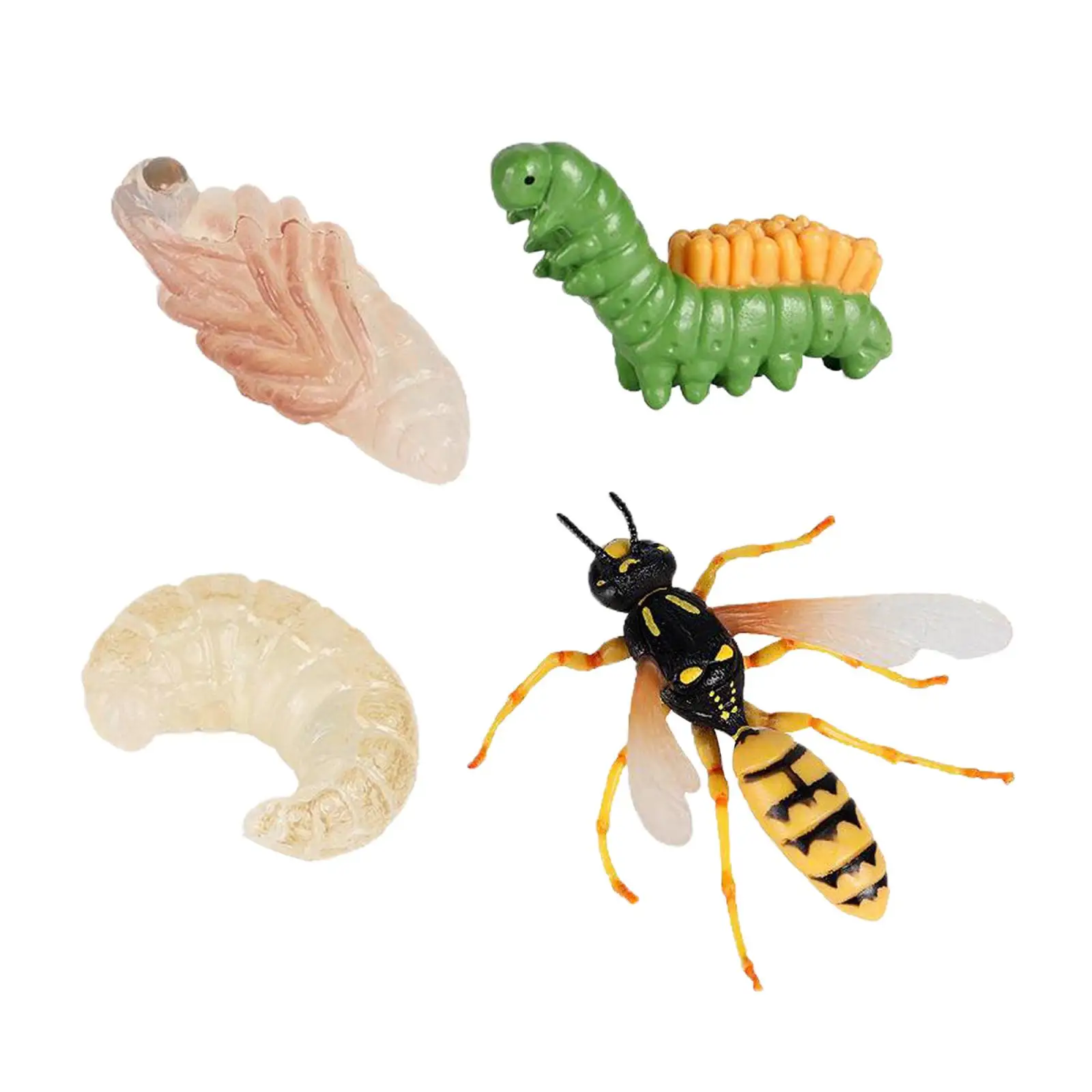Insect Wasp Life Cycle Wild Animal Bug Growth Cycle Teaching Plastic Toy