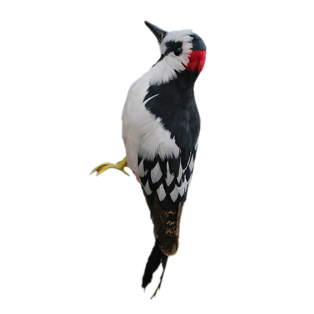 Artificial Bird Fake Decorative Bird Woodpecker for Crafts Decoration