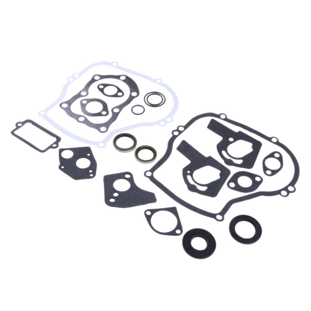 Engine Gasket Set for    495603 Replaces # 397145, 297615