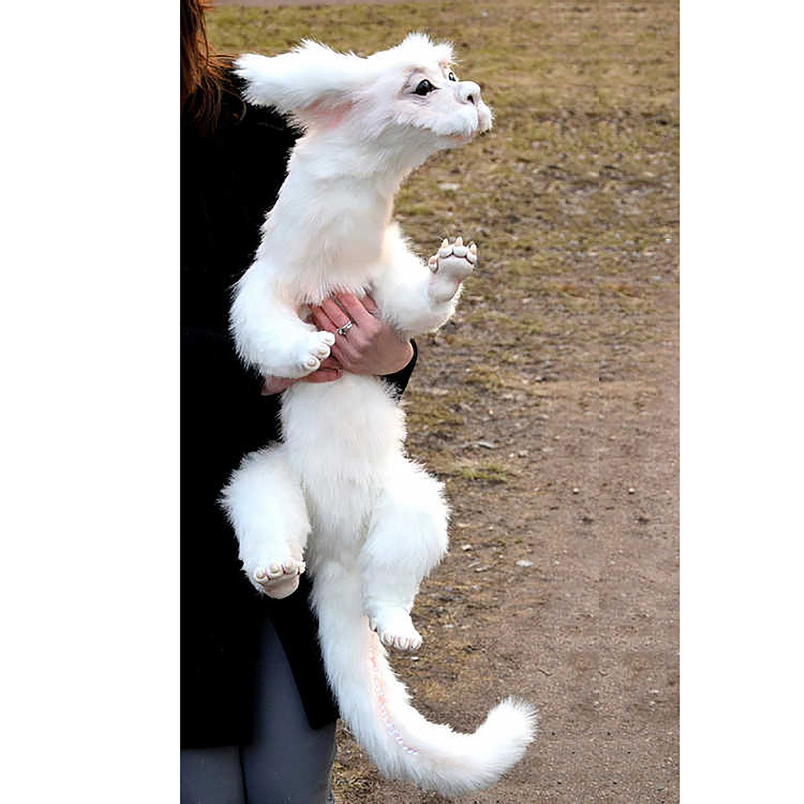 falkor dragon plush