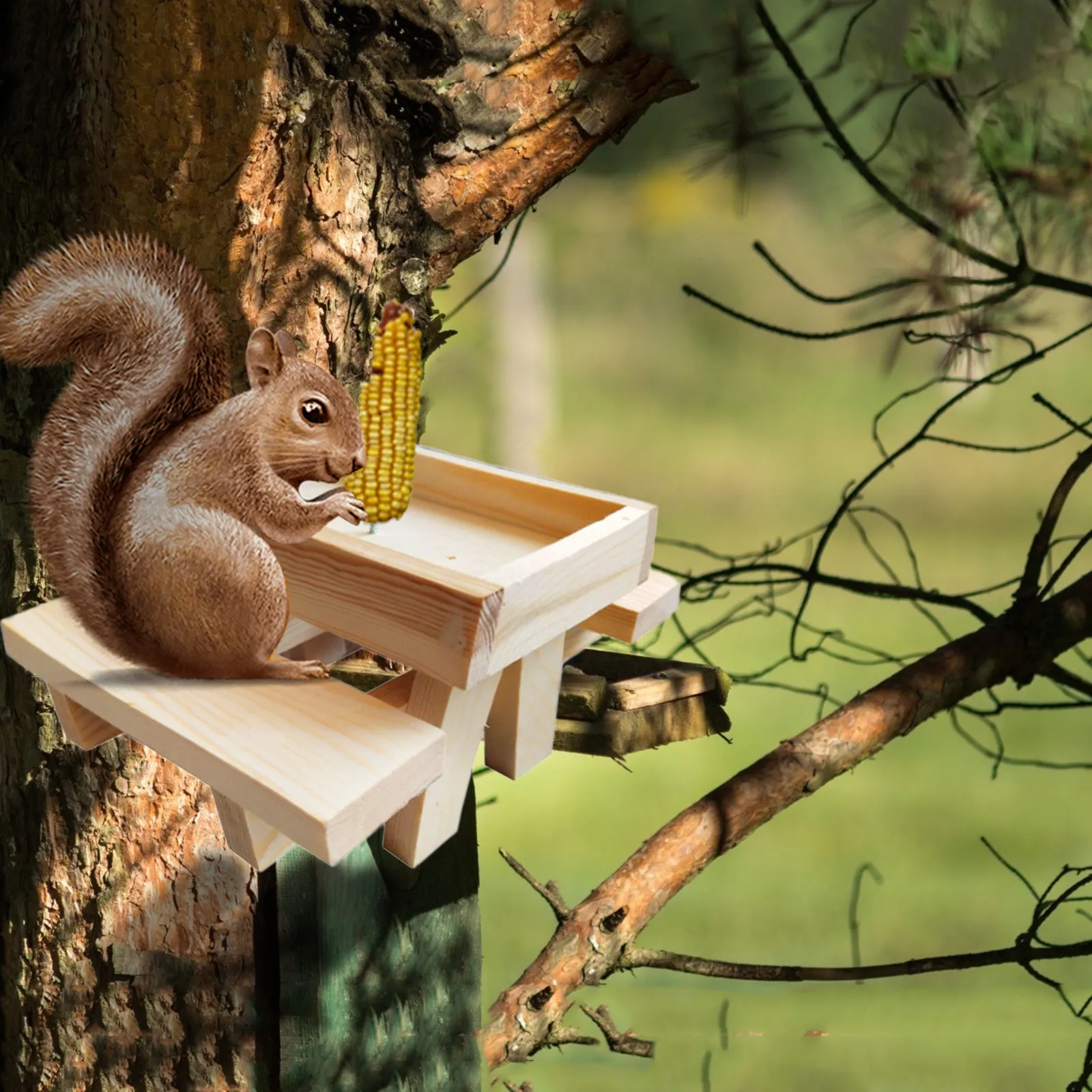 Squirrel Picnic Table Corn Holder and Tin Bucket Included 