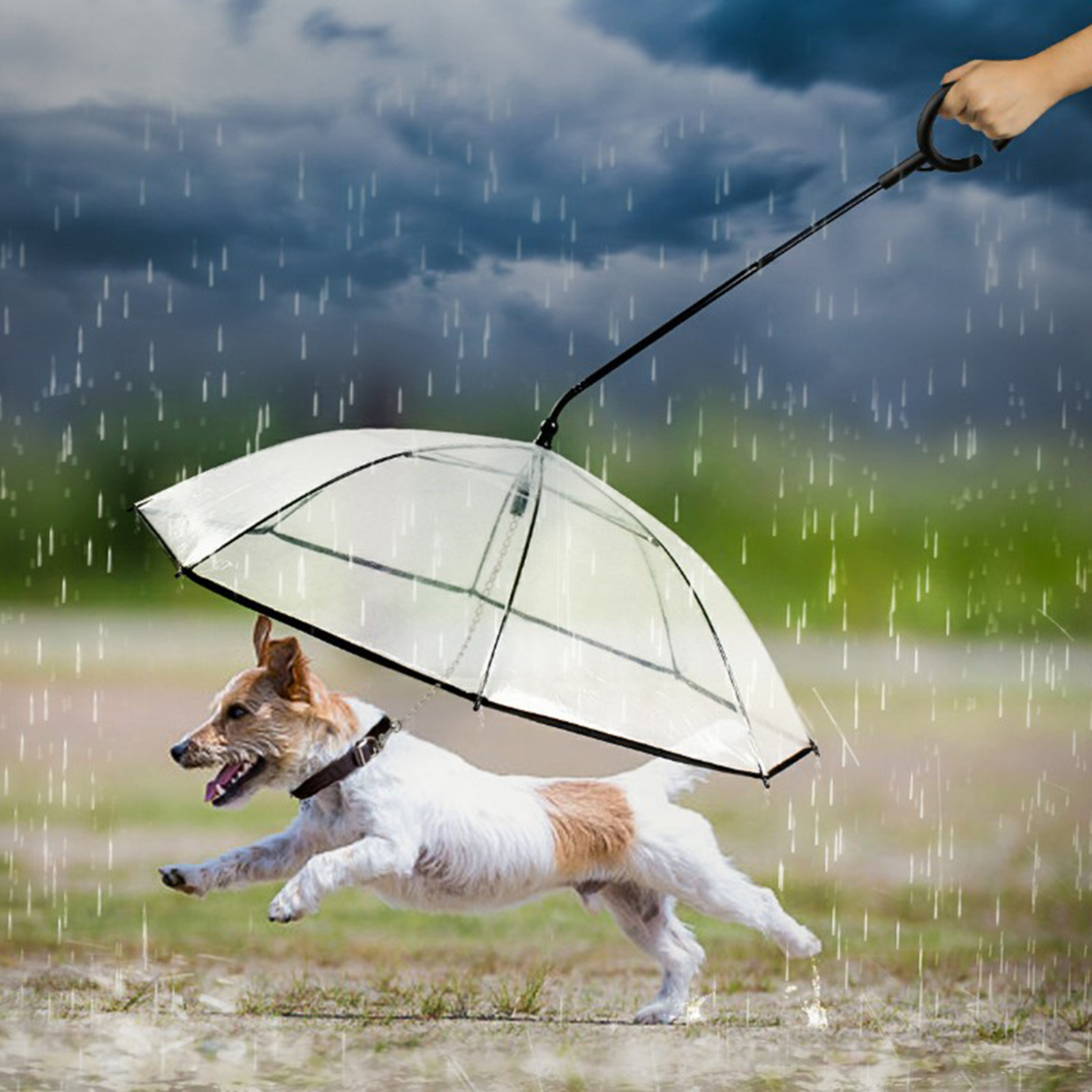 Dog Umbrella with Leash Pet Outdoor Rainproof Supplies, diameter 70cm