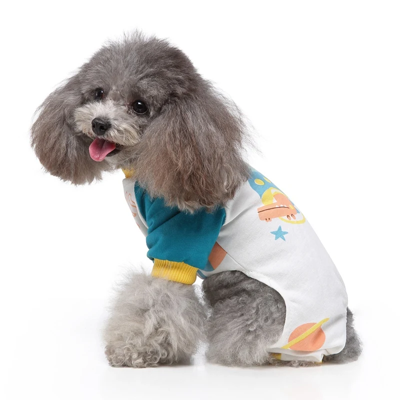 Un perro pequeño, que parece ser un caniche o una mezcla de caniche, vestido con un lindo y pequeño atuendo. El outfit es una combinación de una camisa azul con cuello amarillo y un pañal blanco con un diseño colorido.