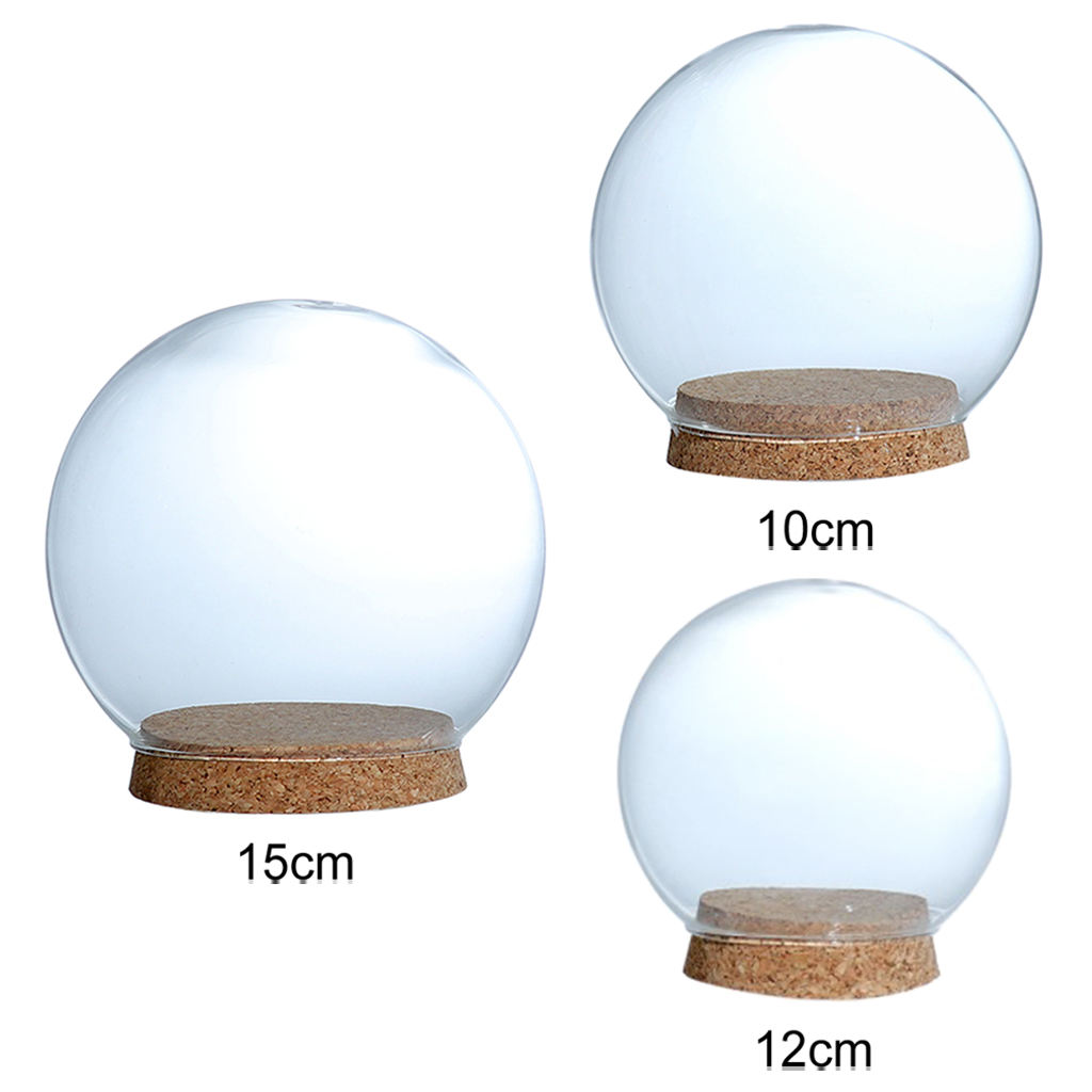 Glass Dome Display Wood Cork Bell Jar Cover Cloche Display With Wooden Base Table Decoation Craft