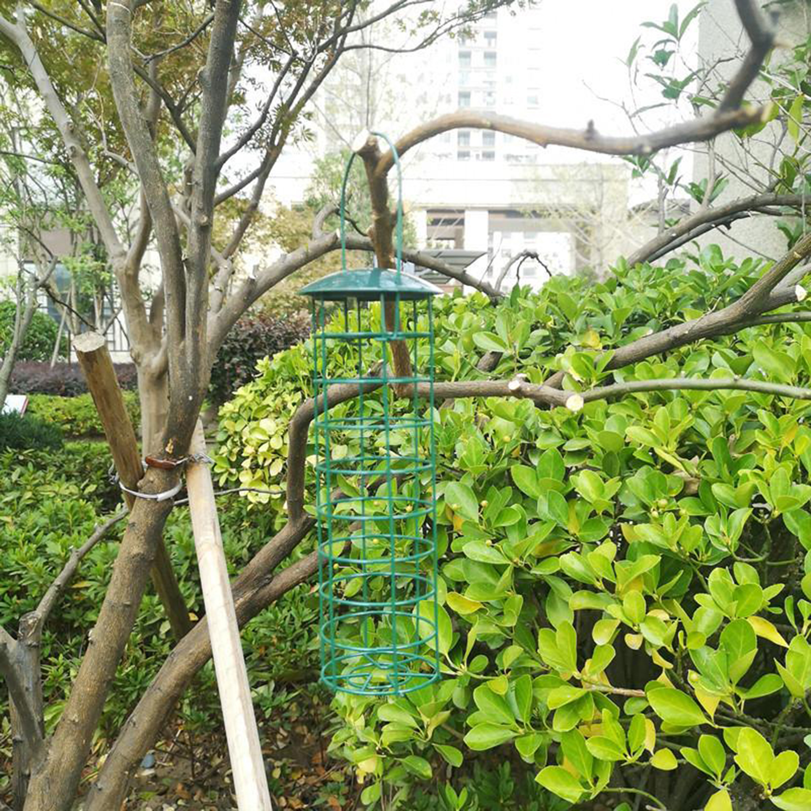Durable Bird Feeder Pet Bird Hanging Suet Feed Tube Holder for Patio Backyard Decoration
