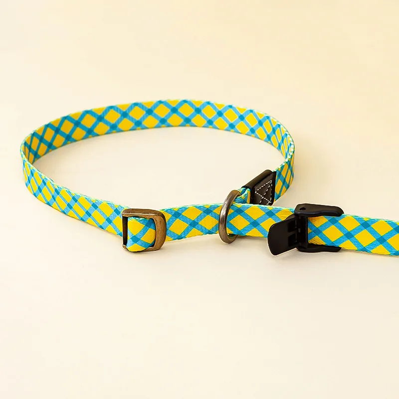 Wholesale P Chain Large Dog Leash Slip Collar Pet Walking Lead Explosion Proof for Big Dog Climbing Rope Comfortable Dog Leash