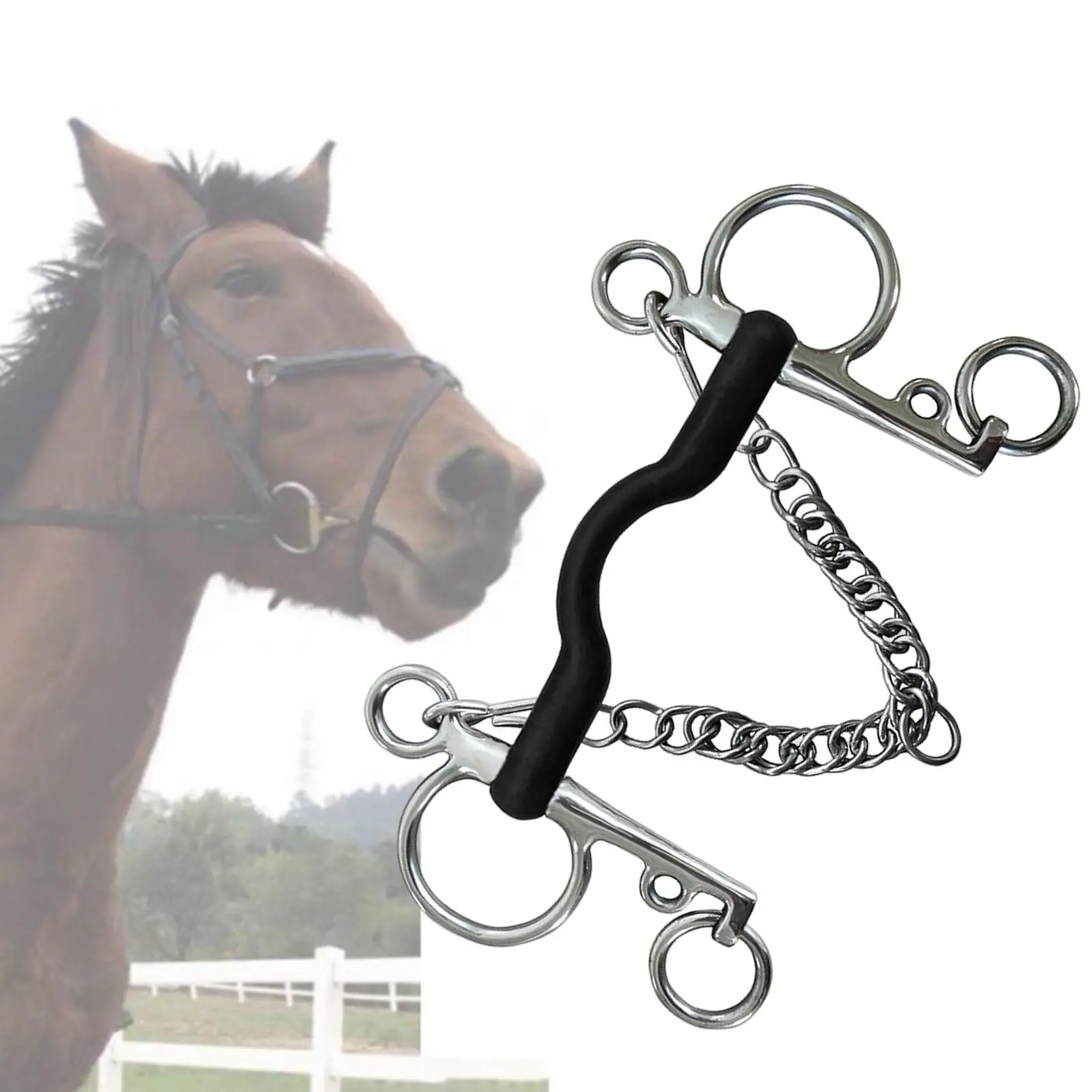 horse Bit, Stainless Steel, W/Curb Hooks Chain, with Silver Trims, Cheek Mouth for Performance Horse Bridle Training Equipment