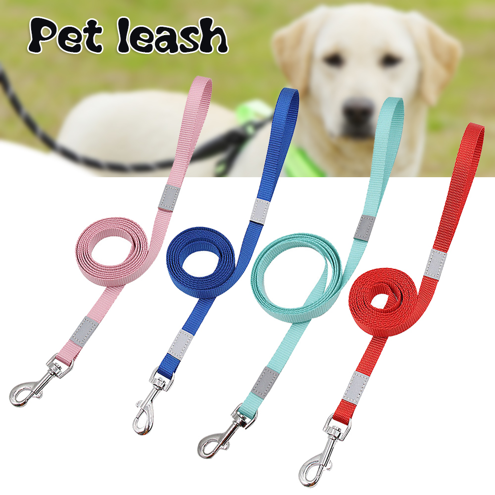 dog leash small