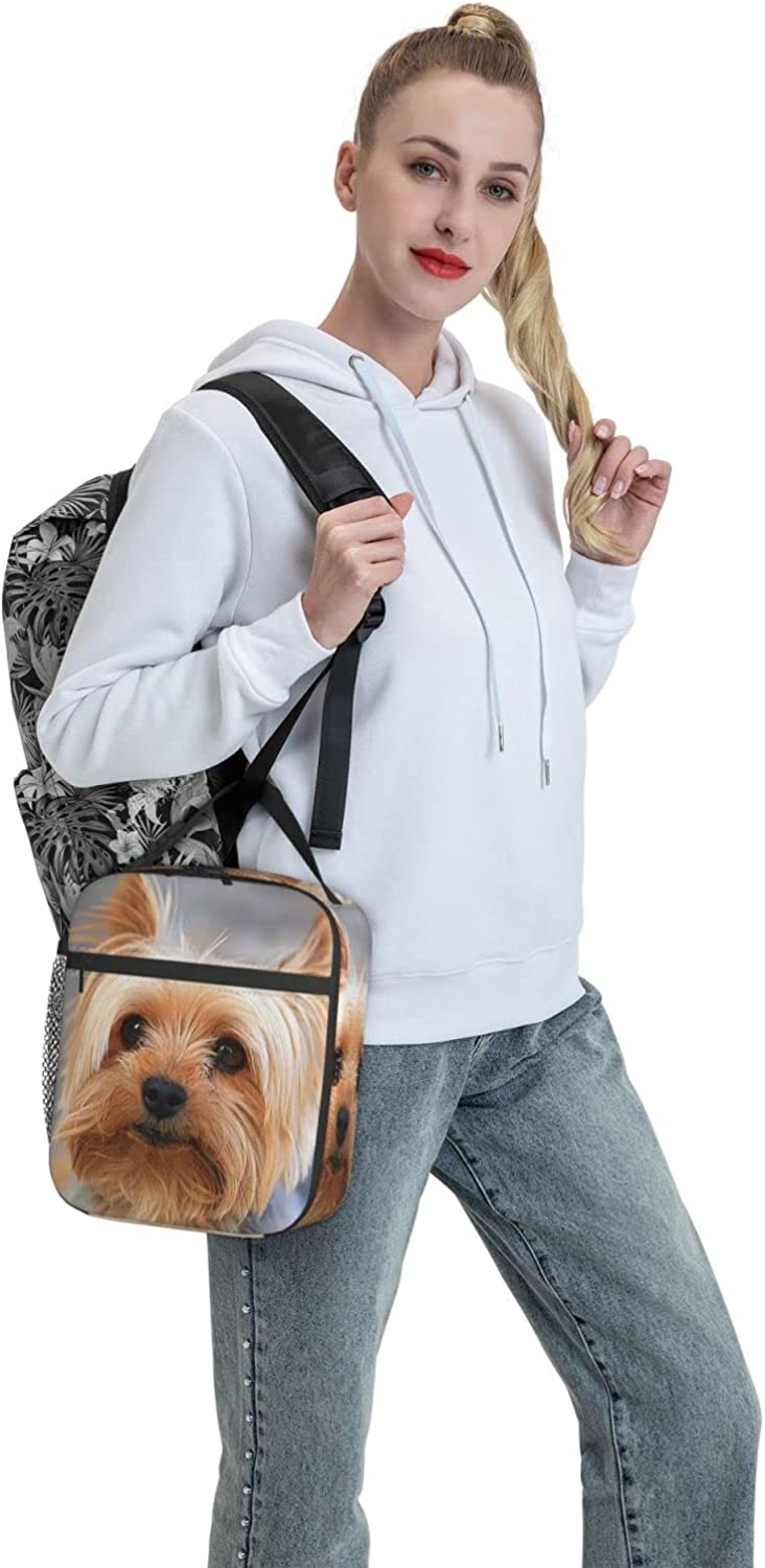 Yorkshire Terrier, Lancheira para Trabalho de Escritório, Escola, Piquenique, Praia