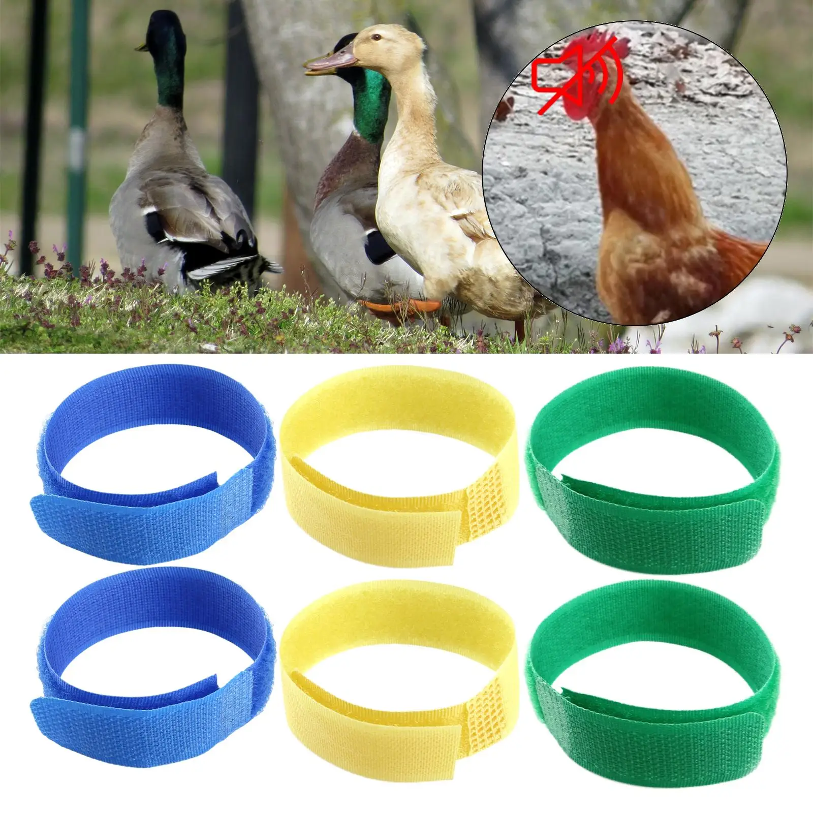 2Pcs  Rooster Anti Crow Collar Neck Belt Chicken Collar  Noise