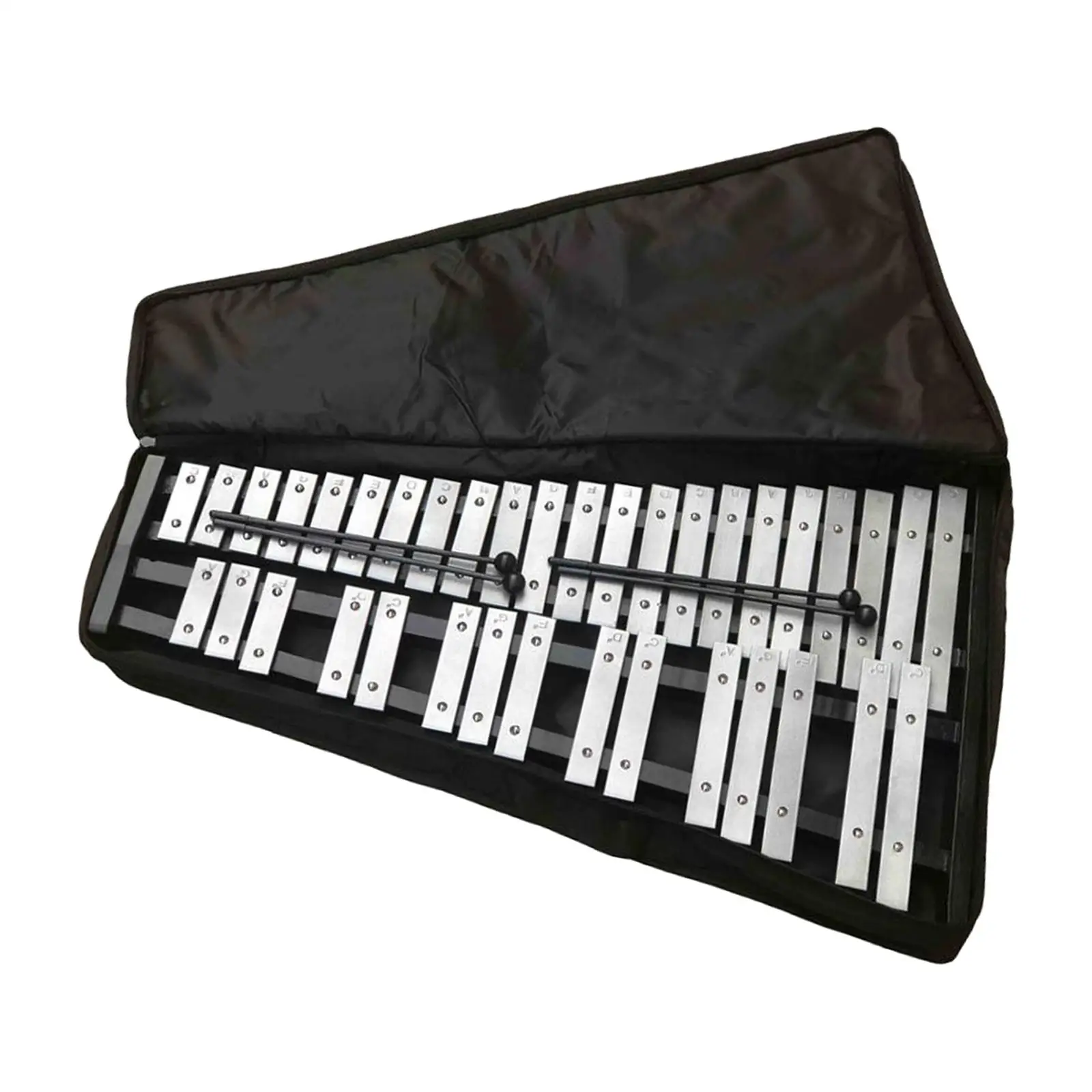 37 Note Metal Xylophone with Carry Case and Mallets Percussion for Child