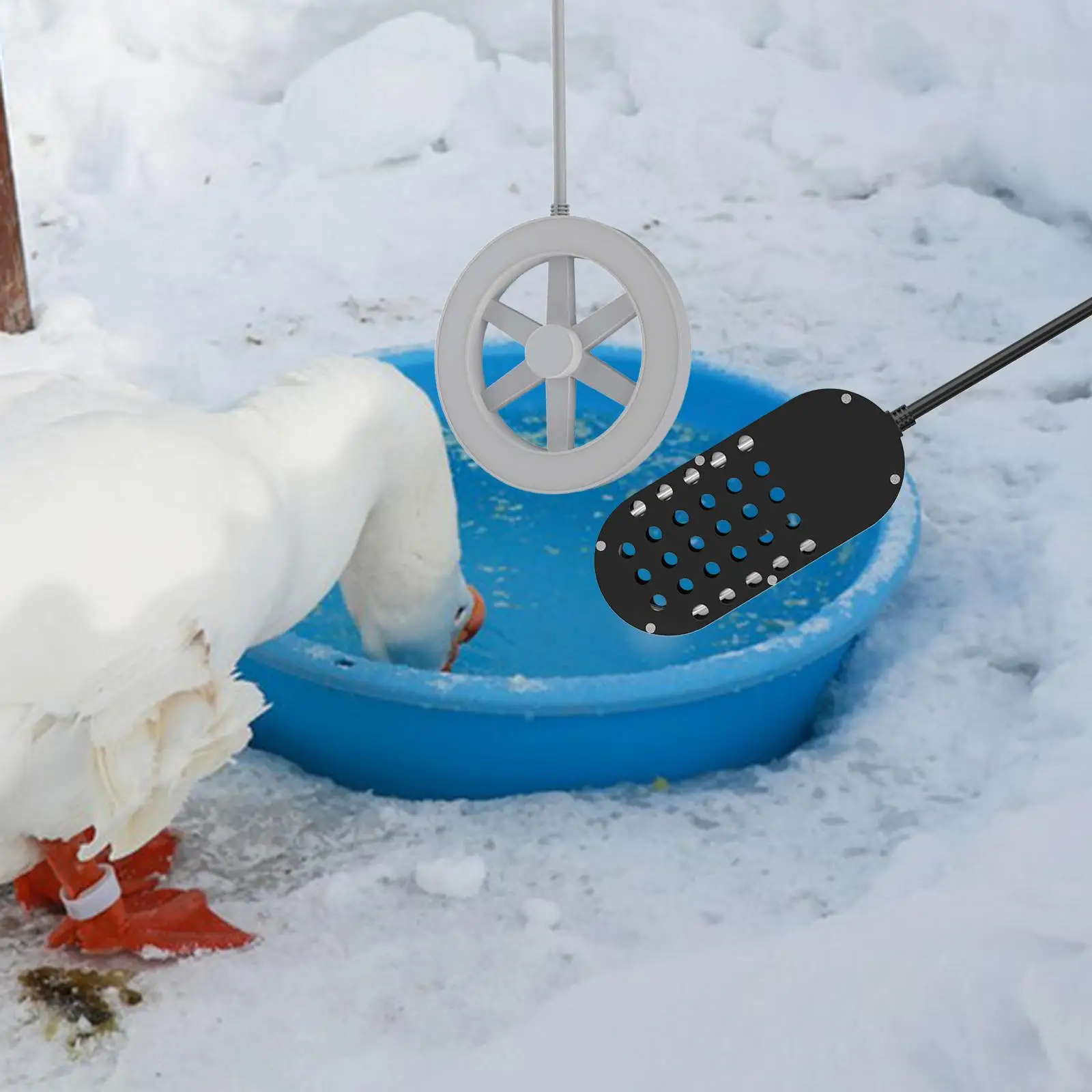 Bird Bath Heater with Thermostatically Controlled Bird Bath Deicer Water Heater for Backyard Garden Winter Outdoor Patio Goose